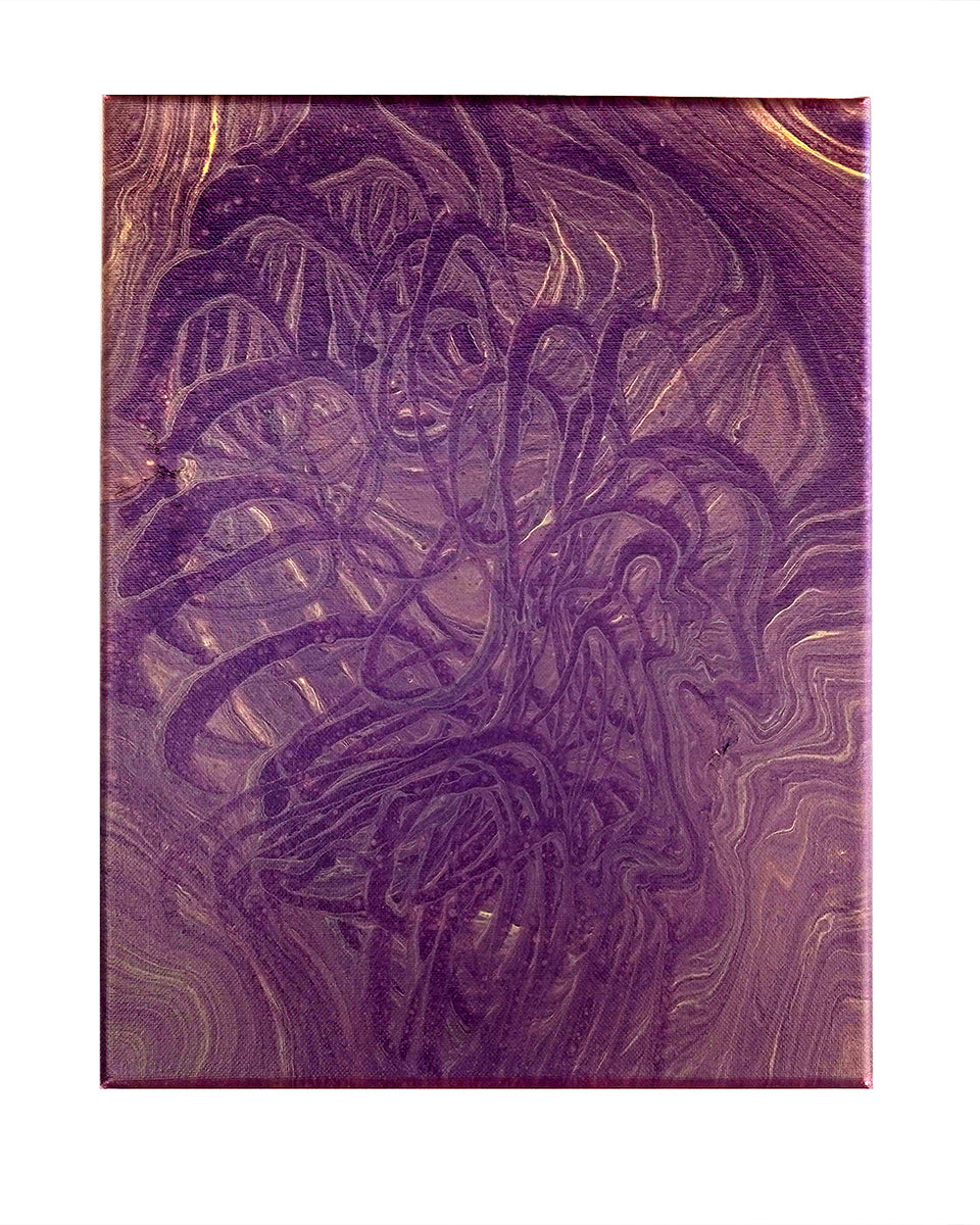 brain nautilus