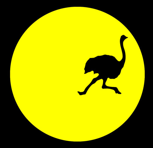 obstreperous ostrich